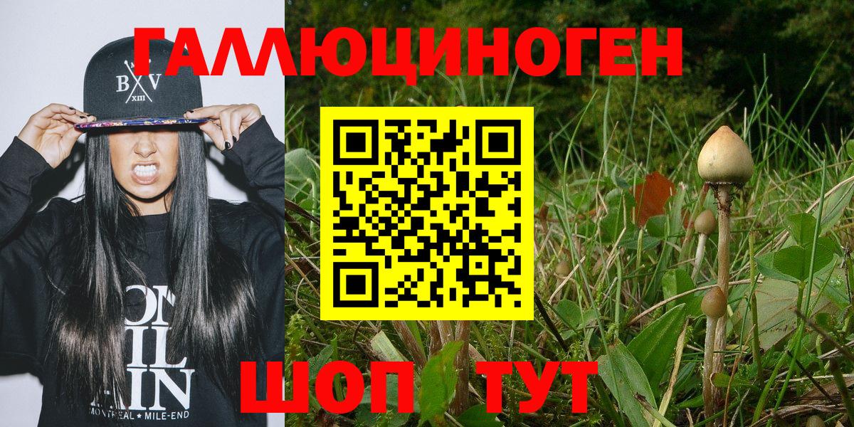 Псилоцибиновые грибы Psilocybine cubensis Малгобек