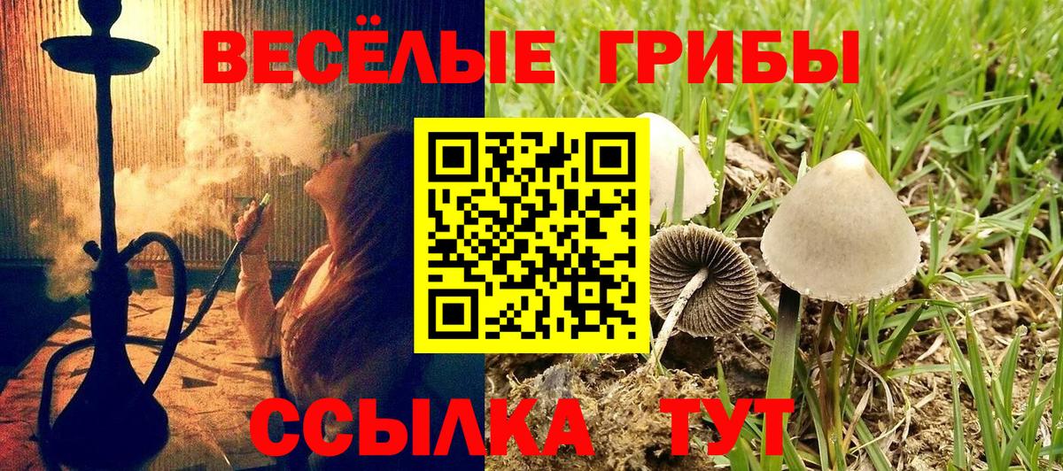 Галлюциногенные грибы мухоморы  Вход с VPN  Малгобек 